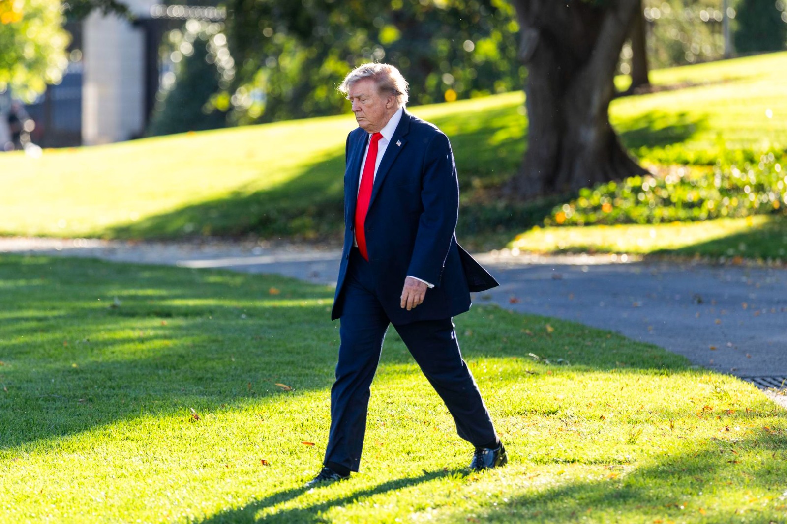 Trump sufrió otro revés judicial en California: corte rechazó apartar más de 20.000 votos por correo