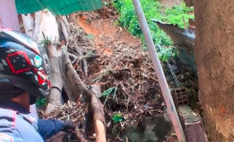 Caída de un árbol con seis metros de altura provocó daños en una vivienda de San José en Caracas
