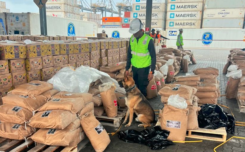 Descubrieron 748 kilos de cocaína escondidos en sacos de cemento que iban de Ecuador a Turquía