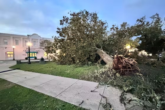 La tormenta Isaías dejó al menos cuatro muertos en Alabama y Florida