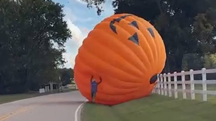 Calabaza gigante escapó de una granja y causó caos en carretera de Carolina del Norte (VIDEO)