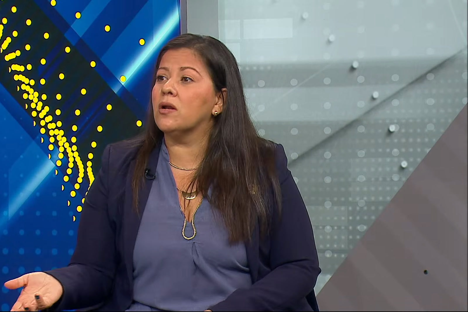 Raquel Sánchez, miembro del Comité de Postulaciones Judiciales, en entrevista con Venevisión