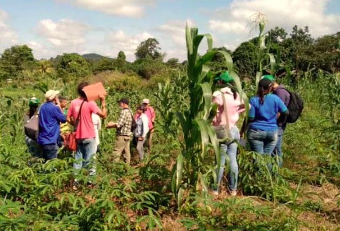 Emiten alerta por ola de calor y sequía que amenazan las siembras en Venezuela